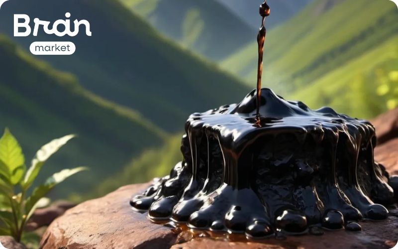 shilajit pryskyrice